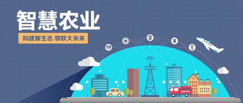物聯(lián)網(wǎng)技術(shù)在傳統(tǒng)農(nóng)業(yè)轉(zhuǎn)型中的挑戰(zhàn)與服務路徑探索